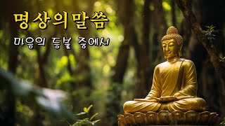 명상의말씀 🌸 마음의 등불 중에서 유교경법구경 중에서 무상권 발원문 선으로 가는중에서 금구의 말씀 중에서 물굽이 돌아돌아 슬기로운 삶 중에서  엄주환 낭송 [upl. by Adnorehs471]