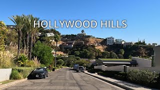 Driving Hollywood Hills Bird Streets Robin Nightingale Swallow Los Angeles [upl. by Eedna534]