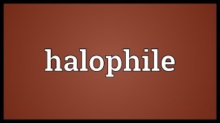 Halophile Meaning [upl. by Sorgalim]