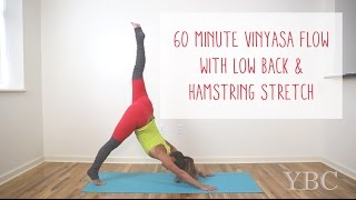 60 Minute Vinyasa Flow  Low Back and Hamstring Stretch [upl. by Lorac]