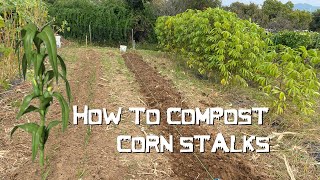 How To Compost Corn Stalks [upl. by Atenek]