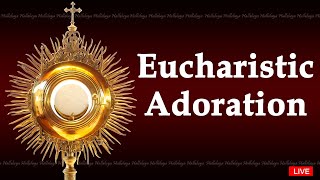 Perpetual Adoration Live  Eucharistic Adoration [upl. by Garlaand398]