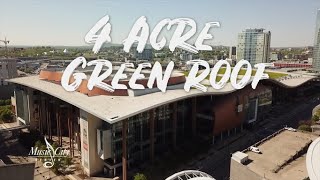 Green Roof Top Dressing [upl. by Laenaj]