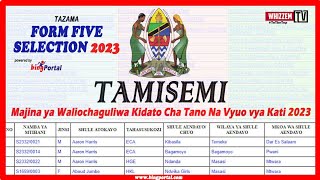 Jinsi Ya Kutazama Selection za Kidato Cha Tano 2023  TAMISEMI Form five Selection 2023 [upl. by Sari]