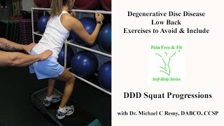 Degenerative Disc Disease Exercises to Avoid amp Include  Squat Progressions [upl. by Alana256]