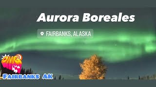 Aurora Boreales Fairbanks Alaska [upl. by Elfie]