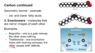 DE Carbon lipids and carbs [upl. by Edme]