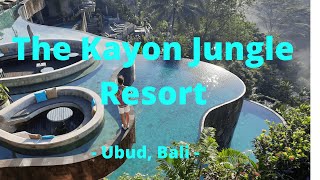 BEST RESORT IN BALI  The Kayon Jungle Resort Ubud [upl. by Tami37]