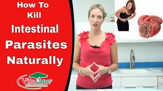 Tips How to Kill Parasites from the Body  VitaLife Show  Ep 167 [upl. by Ocihc]