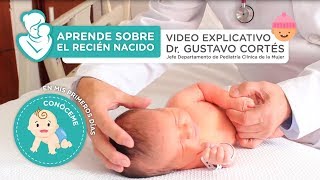 Aprende sobre el recién nacido  Vídeo explicativo [upl. by Gaskin]