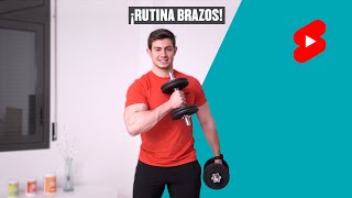 Rutina de Brazos con Mancuernas 💪 Bíceps y Tríceps más GRANDES 🔥💯 [upl. by Ratcliff]