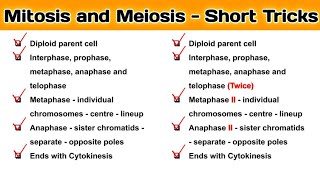 Mitosis And Meiosis  Similarities between Mitosis and Meiosis  NCERT Science Video [upl. by Nawd761]