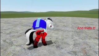 Pony Pac3 Tutorial 13  Custom Models HD [upl. by Maddeu]