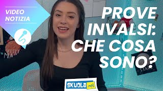 Prove Invalsi che cosa sono [upl. by Elokyn]