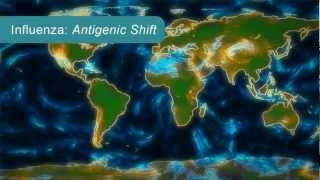 How Influenza Pandemics Occur [upl. by Leveridge]