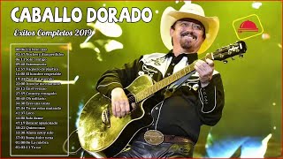 Caballo Dorado Exitos  Sus Mejores Canciones Caballo Dorado 2019 [upl. by Ninazan318]