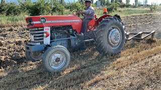 1967 MODEL MASSEY FERGUSON 165 [upl. by Esau]