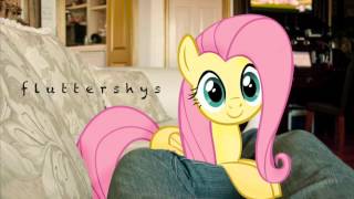 Fluttershys  FritzyBeat Owl City Ponified [upl. by Faulkner]