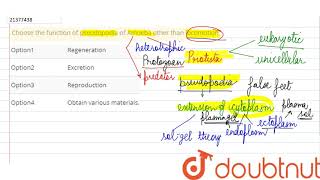 Choose the function of pseudopodia of Amoeba other than locomotion [upl. by Noseyt]