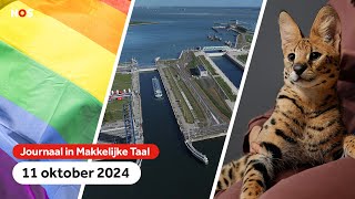 Het is ComingOutdag zeesluis geopend in Zeeland en ontsnapte serval gevangen [upl. by Amar144]