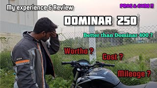 Dominar 250💥  Review 2024 Model🔥 E20😰 trending dominar 250 tamil dominar250 review dewali [upl. by Merissa]