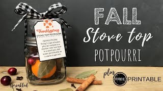 DIY Stove Top Potpourri  Free Printable Tags  DIY Gifts [upl. by Nitsur]