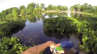 12 lb Limit Bass Fishing at Haddon Lake in NJ [upl. by Dieterich117]