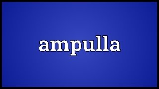 Ampulla Meaning [upl. by Tlaw419]