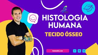 Histologia Humana  Tecido Ósseo [upl. by Allesig]