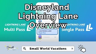 Lightning Lane at Disneyland Resort [upl. by Negam]