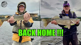 Back Home Fall Walleye  walleye fallfishing sonnenburgoutdoors [upl. by Shanta]