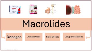 Macrolide Antibiotics Explained Mechanism Uses and Side Effects  HighYield Overview [upl. by Eirroc132]