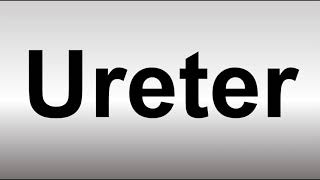 How to Pronounce Ureter [upl. by Hayse]