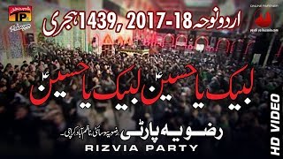 Labbaik Ya Hussain  Rizvia Party  201718 Noha  TP Muharram [upl. by Neerehs830]