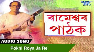 Pokhi Roya Ja Re  HITS OF RAMESHWAR PATHAK  Kamrupi Song  Assamese Song [upl. by Nebeur]