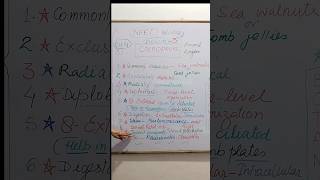 CH  4  Animal Kingdom  Phylum  Ctenophora  Class XI  NEET Biology  NCERT [upl. by Nodyroc]