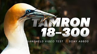 Tamron 18300mm  Sony a6600  Handheld video test [upl. by Nade564]