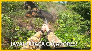 quot⚠️ JAVALI ATACA CAÇADORES EMOÇÃO E ADRENALINA COM NOSSOS CÃES 🐗🐕quot [upl. by Suzanna]