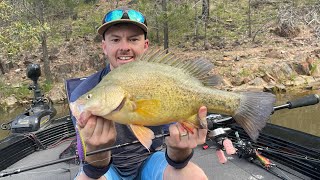 Glenlyon Dam Lure Makers Invitational [upl. by Rue]