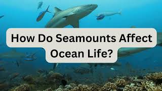 How Do Seamounts Affect Ocean Life [upl. by Diao929]