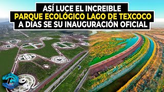 Así Luce El Increíble Parque Ecológico Lago De Texcoco [upl. by Attenaj]