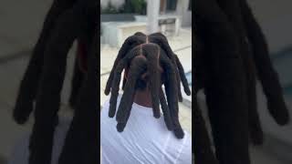 Comment Prendre Soin et Faire Pousser Ses Locs 1 [upl. by Blau]