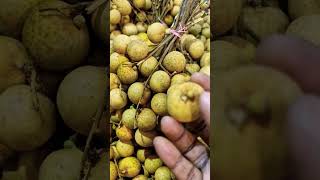 fruit shortsLongan must try this if u get itsMangatthamusicAjithbeauty of nature [upl. by Ahsha]