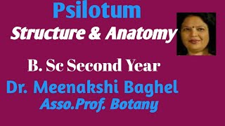 Psilotum Structure amp Anatomy [upl. by Halley]