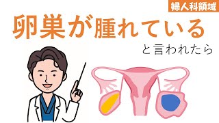 【全女性の57】症状が出にくい卵巣腫瘍について【婦人科】 [upl. by Dnomyad]