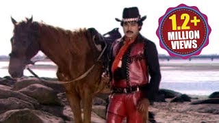 Adavi Donga Songs  Veera Vikrama  Chiranjeevi Radha [upl. by Halet258]