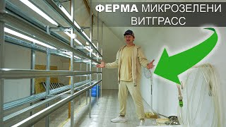 Создал ФЕРМУ для МИКРОЗЕЛЕНИ ВИТГРАСС своими руками ЭТО СОВСЕМ НЕ СЛОЖНО 😳 3 серия [upl. by Chester]