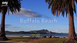 Best Beaches Of The Coromandel New Zealand [upl. by Hadden1]