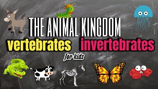 THE ANIMAL KINGDOM VERTEBRATES AND INVERTEBRATES  FOR KIDS [upl. by Roque]