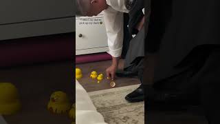 Prank dad with these ducks😂❤ [upl. by Aileduab]